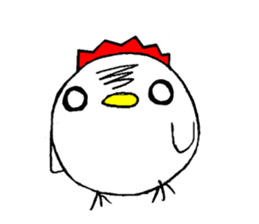 9516798