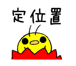 9516799