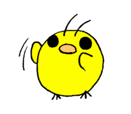 9516802