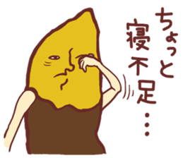 9518987