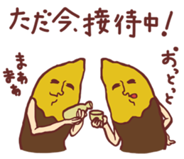 9518996