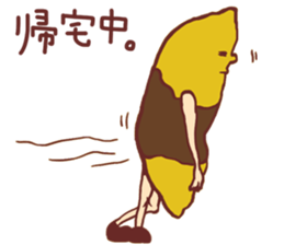 9518998