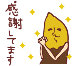 9519005
