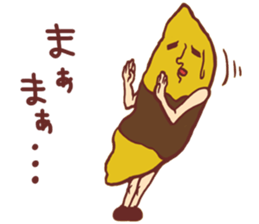 9519016