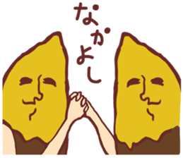 9519019