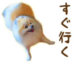 9522999