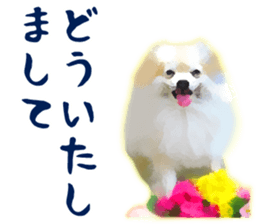 9523007