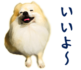 9523008
