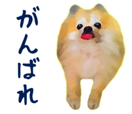 9523010