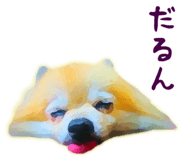 9523013