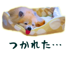 9523016