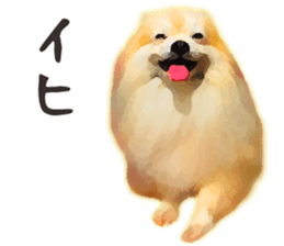 9523018