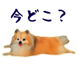 9523021