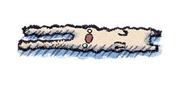 ลายที่ 11