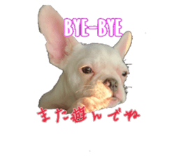 95271773
