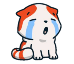95300423