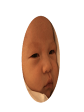 95301513