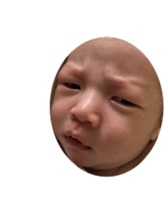 95301515