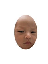 95301517