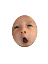 95301519