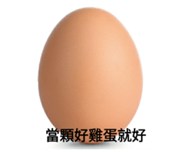 95312678