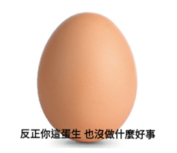 95312679