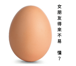95312681