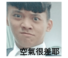 95313121