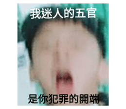95313122