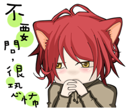 9531908