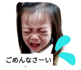 95325530