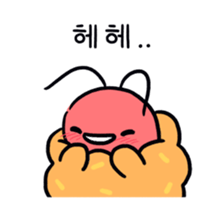 95334558