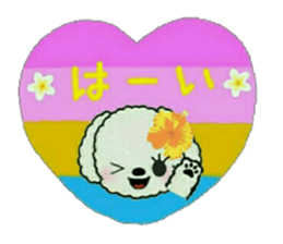 9533629