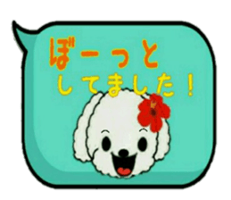 9533647