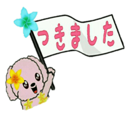 9533648