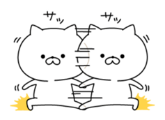 9538491