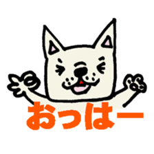 954847
