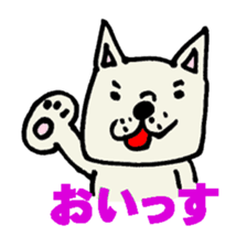 954852