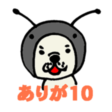 954855