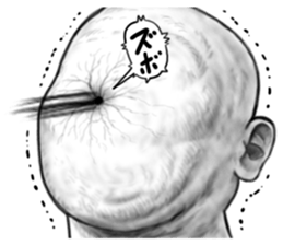 9552648