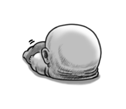 9552663