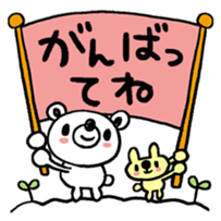 95538706