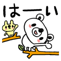 95538719