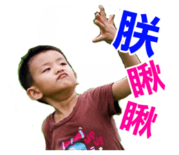 95540990