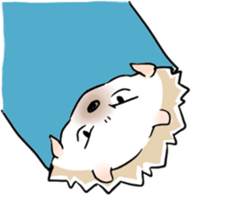 9556187