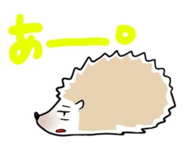 9556210
