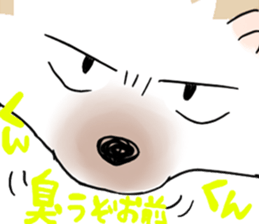 9556219