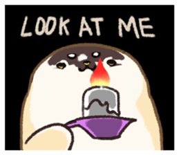 95562791