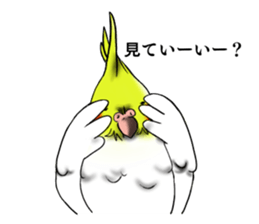 9564556