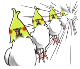 9564576